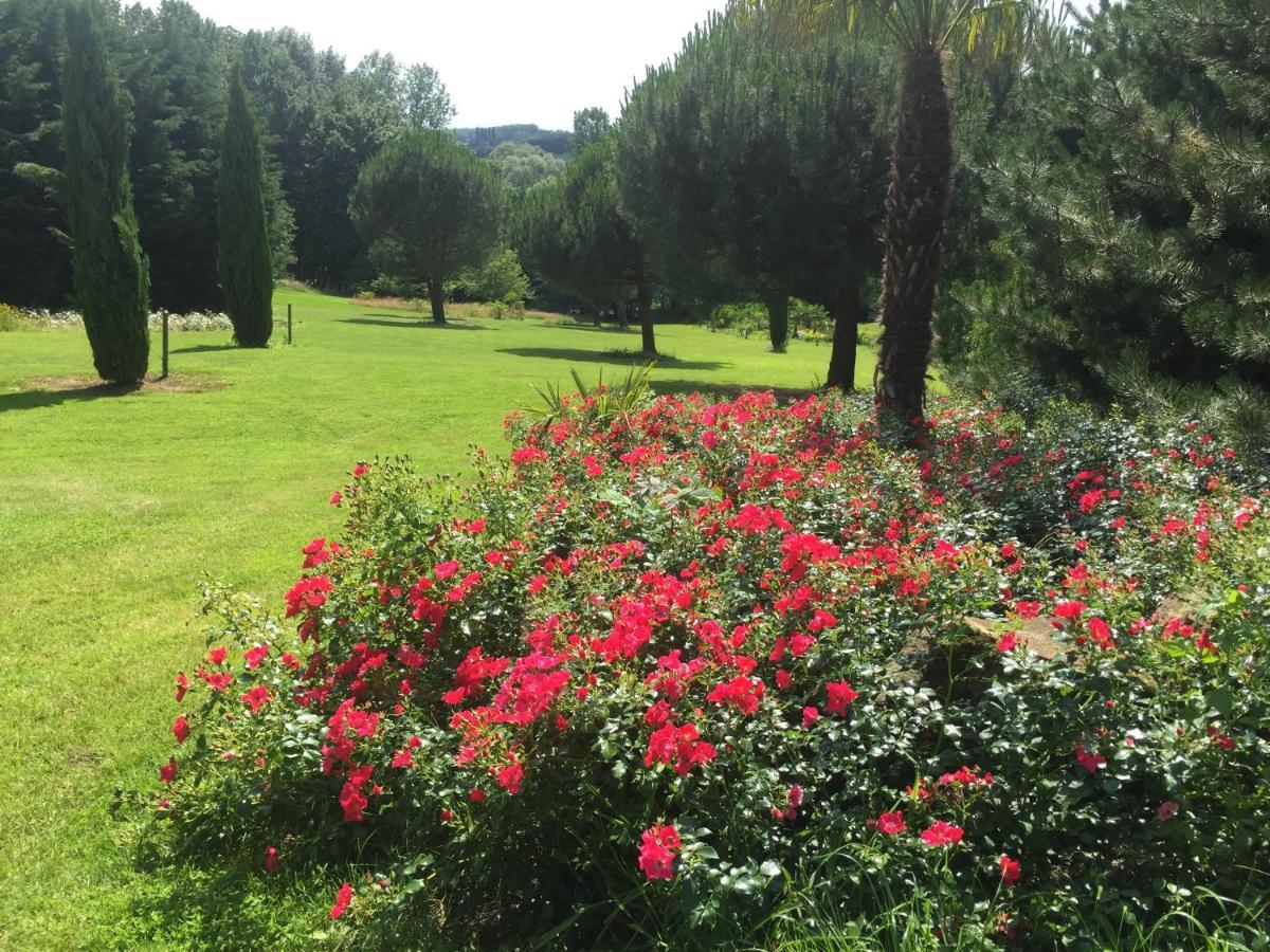 Villa Montana Geraardsbergen Εξωτερικό φωτογραφία
